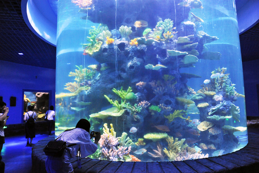 First polar aquarium in Guizhou set to wow visitors