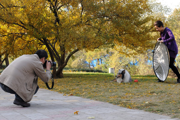 Pet photos costing hundreds of dollars are trendy