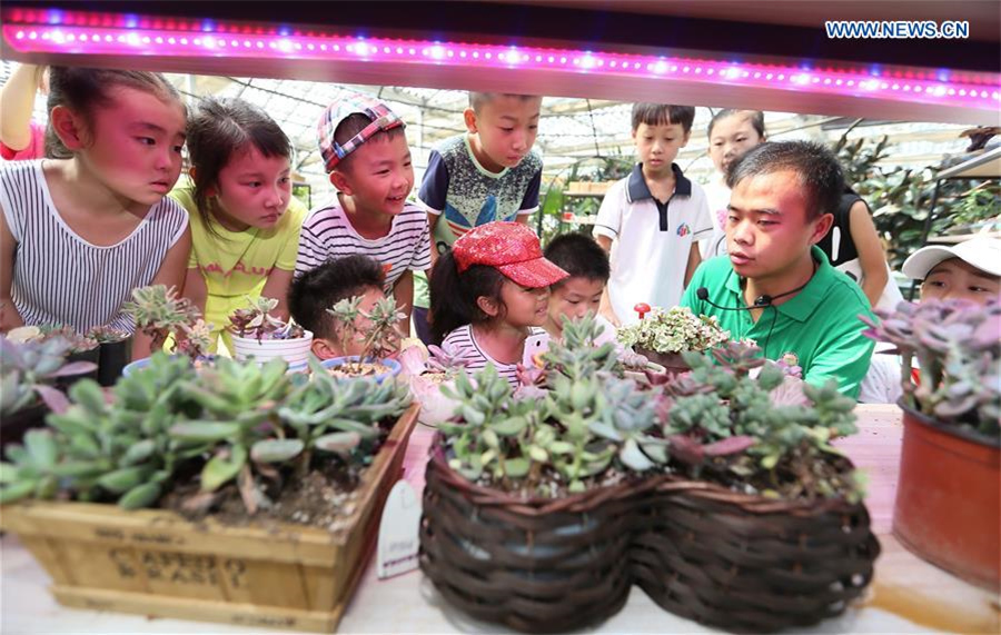 Primary school students given class at agricultural demonstration base