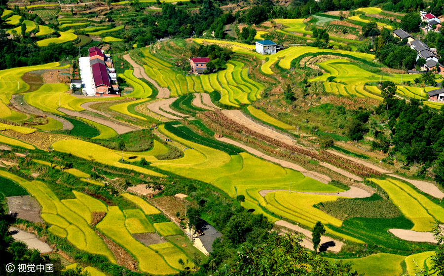 Beat the crowds with beauty during National Day holiday