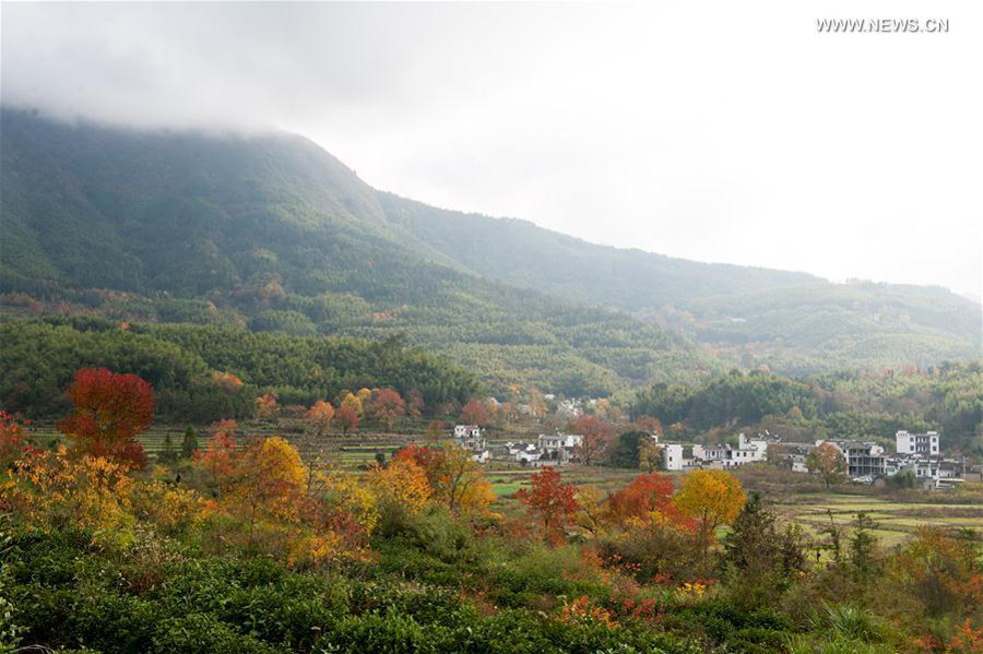 Scenery of Tachuan village in E China's Huangshan