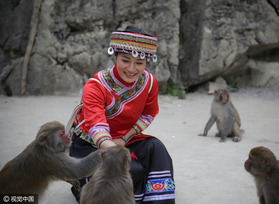 Villagers convert farmland to forest for monkeys