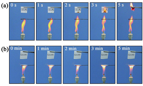 Chinese scientists develop fireproof, waterproof paper