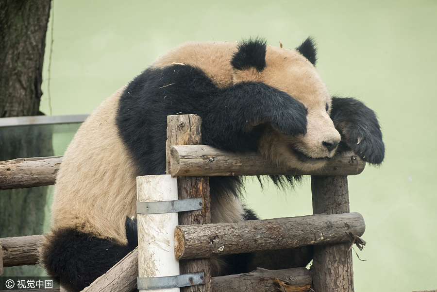 Ten photos from across China: April 1-6