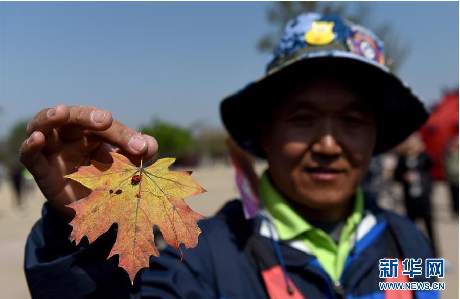 Spring celebrated by international kite show in northwest China