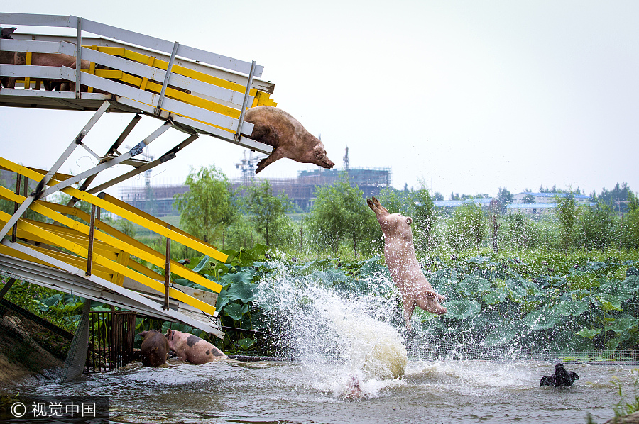 Ten photos from across China: Aug 11-17