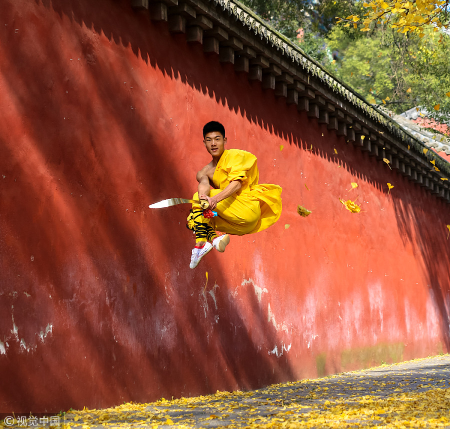 Fun with golden gingko leaves across China