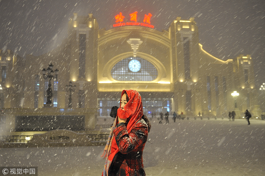 Snow turns Harbin into winter wonderland