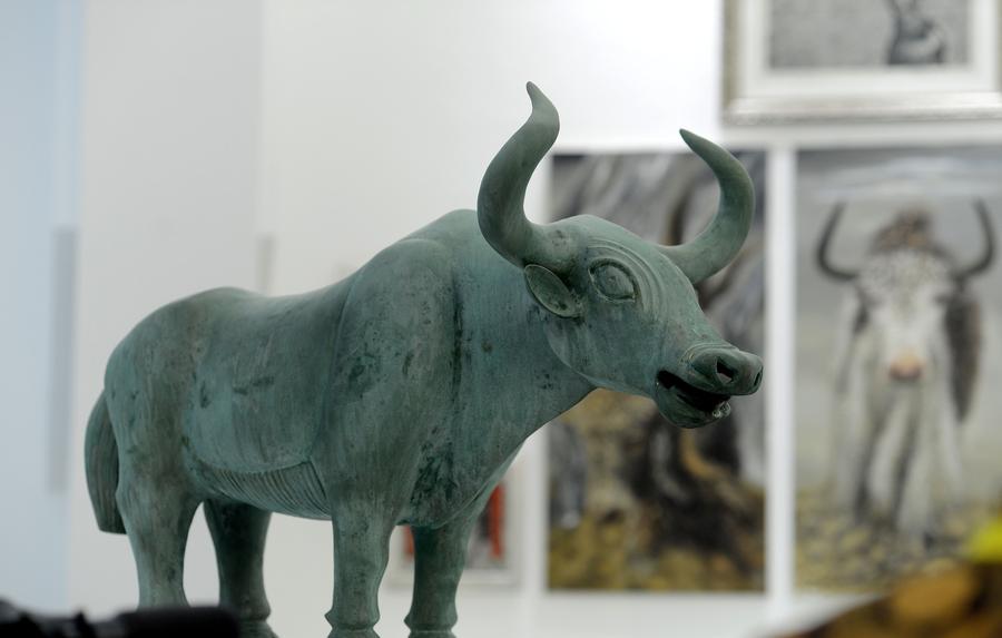 World's first yak museum opens in Lhasa