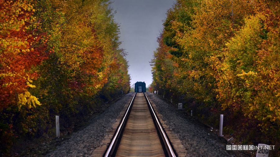 Photographer focuses lens on China's rail history