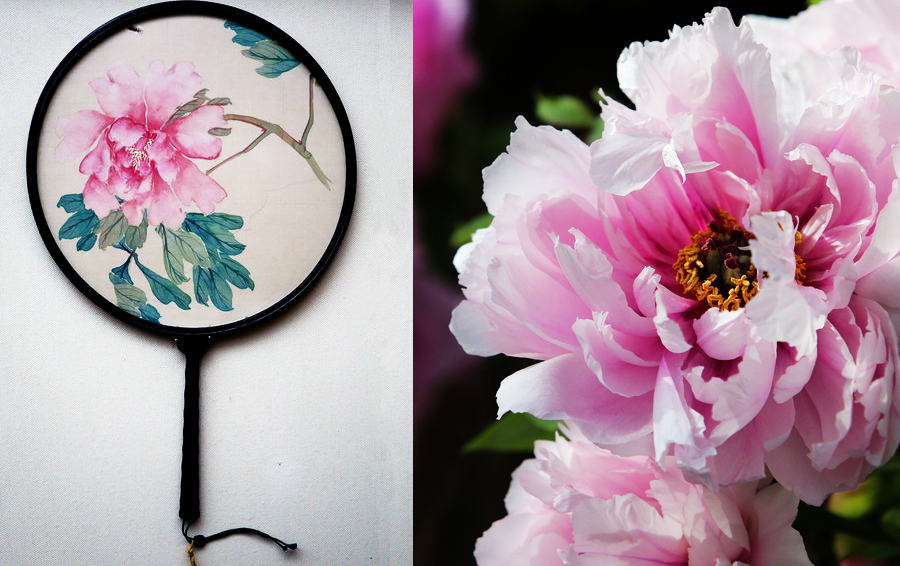 Poetic beauty: 10 most significant flowers in China