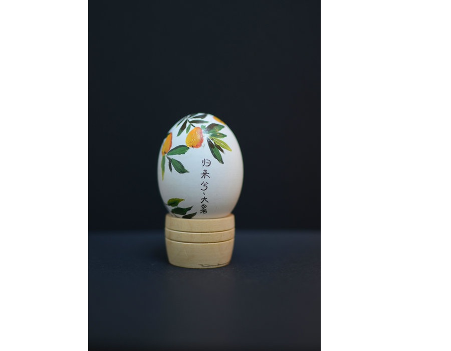 Young artist swaps conventional canvas for eggshells