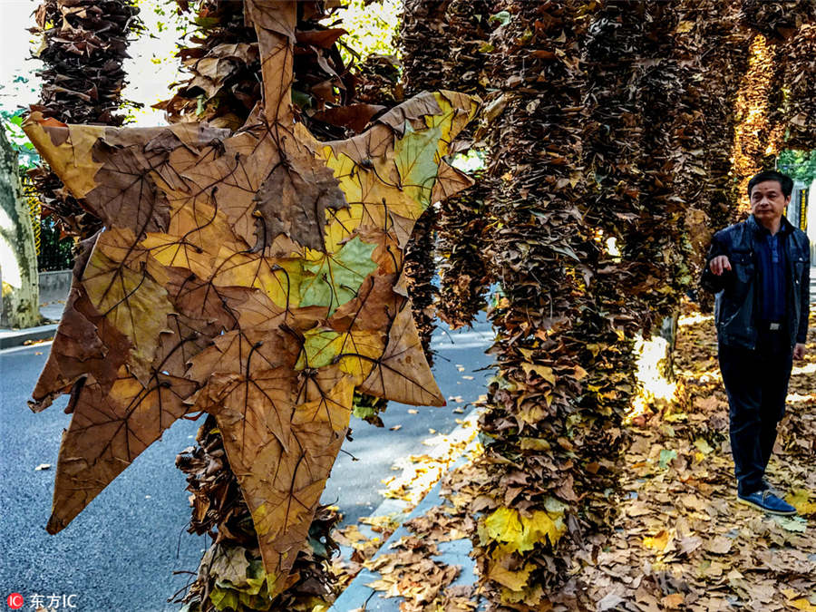 Shanghai stages street art exhibition on fallen leaves