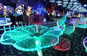 Peacock lanterns go for record