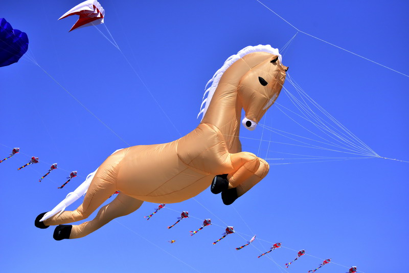 Weifang hosts annual kite festival