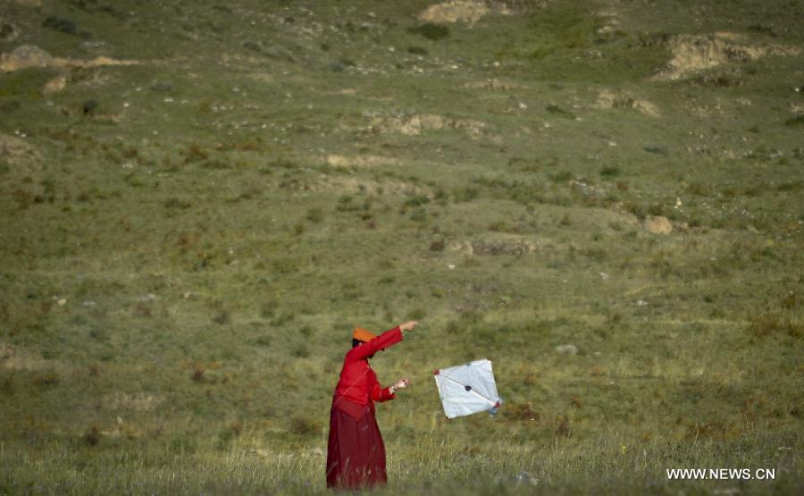 Traditional 'fight kites' seen in Lhasa