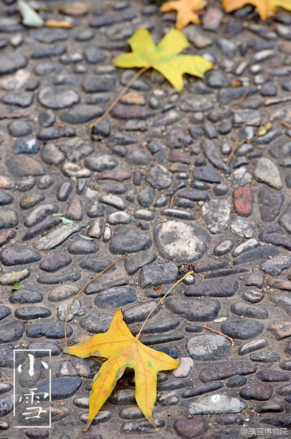 Photos reveal beauty of four seasons at Palace Museum