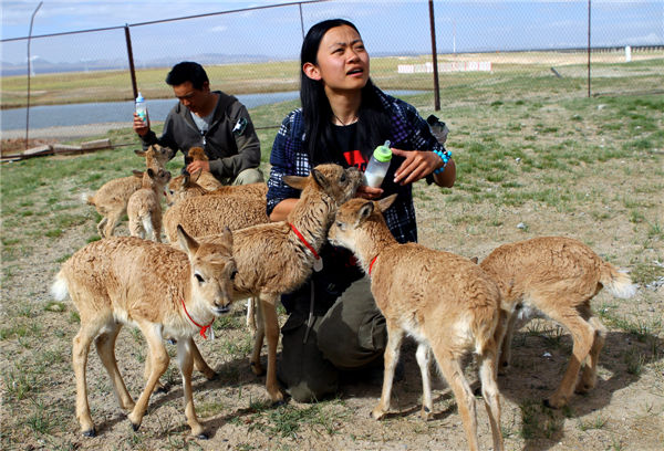 Heritage status sought for antelope habitat