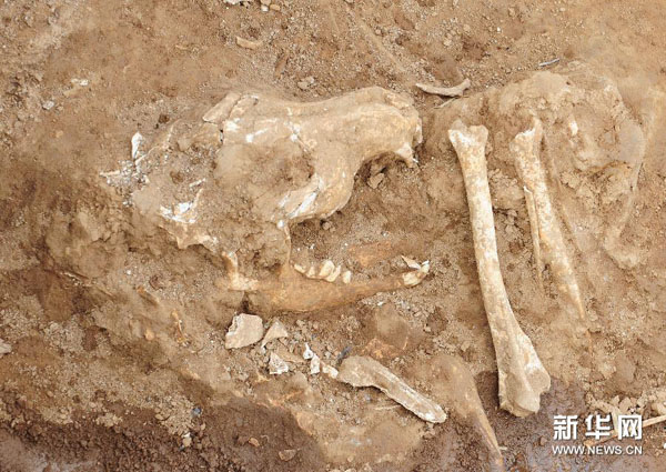 Ancient sacrificial architecture unearthed in Shaanxi