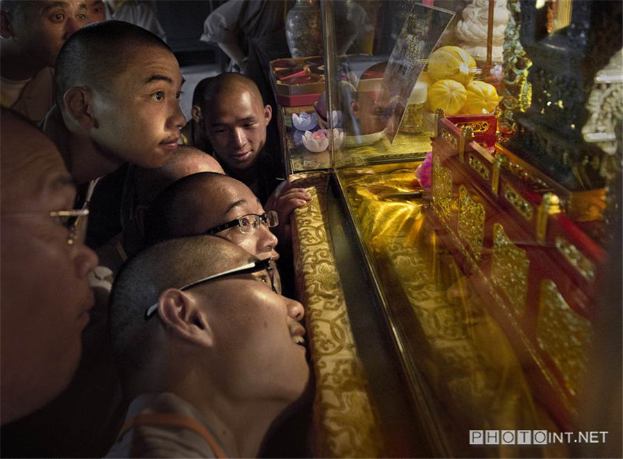 Photos capture the path of Buddhism