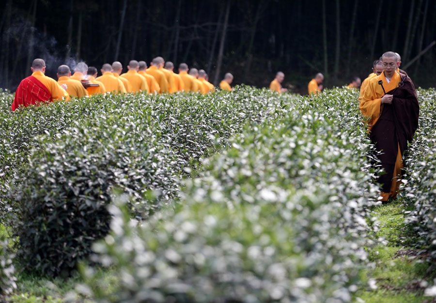 Steeping the leaves