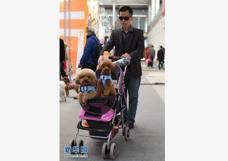 2015 China Pet Festival starts in Beijing