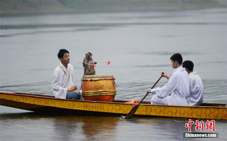 Monkey drummers bring fun to dragon boat race