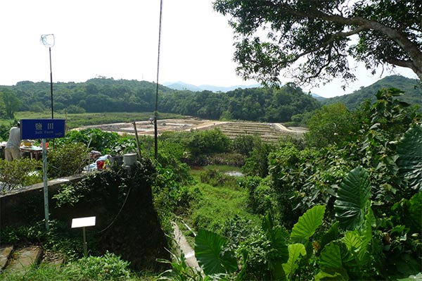 Five sites in China awarded UNESCO Asia-Pacific Awards