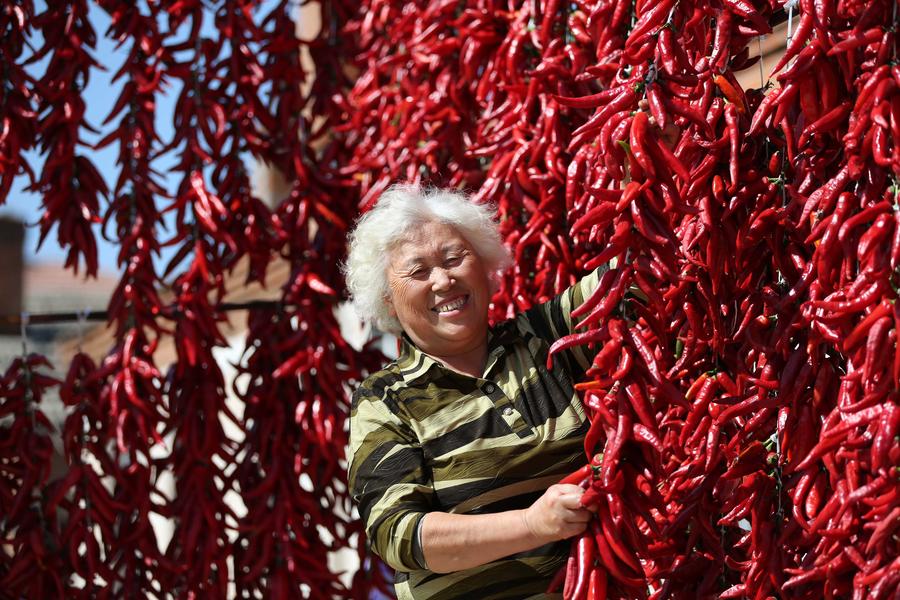 Harvest season colored by ripe crops around China