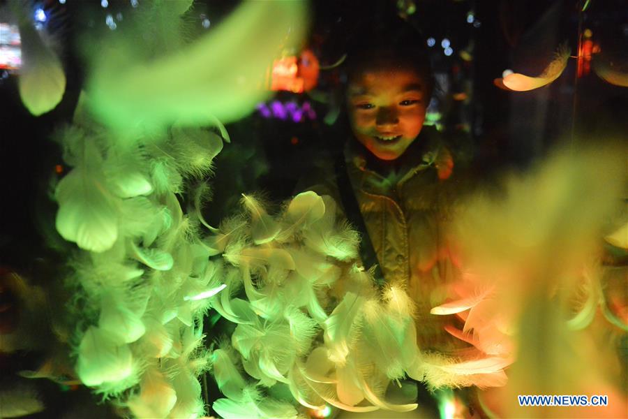 Lantern carnival held at Shanghai Expo Park, E China