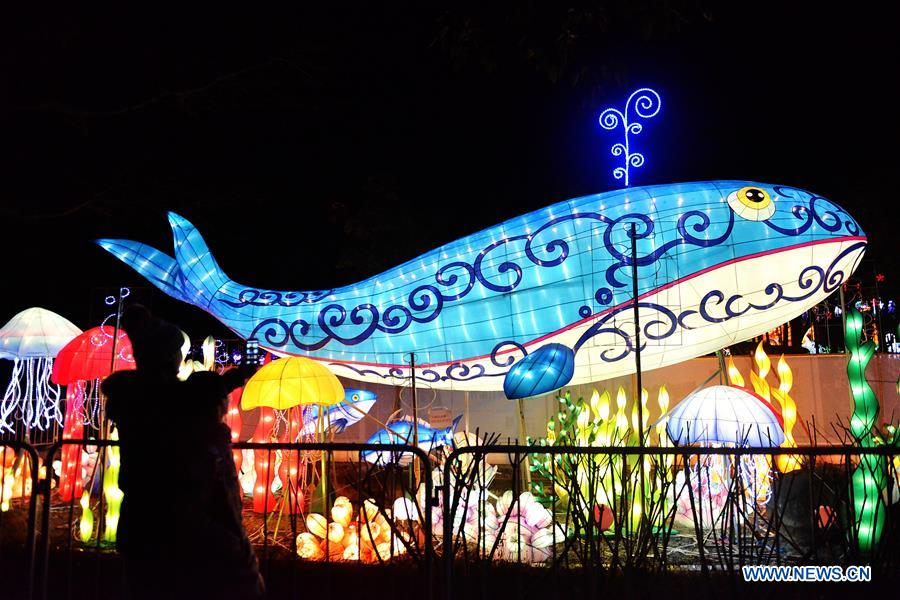 Lantern carnival held at Shanghai Expo Park, E China