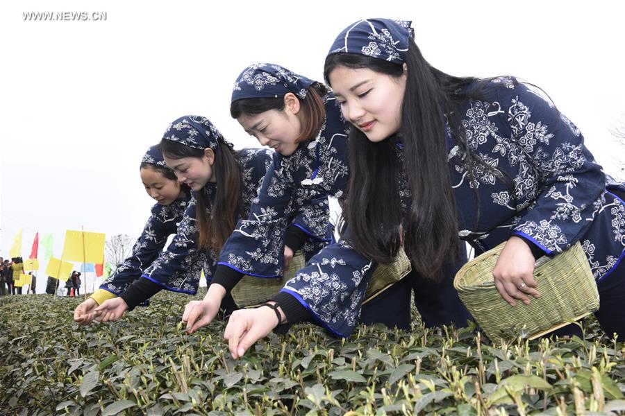 9th Yibin Spring Tea Festival opens in SW China