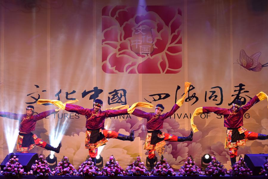 Chinese artists perform in Kenya