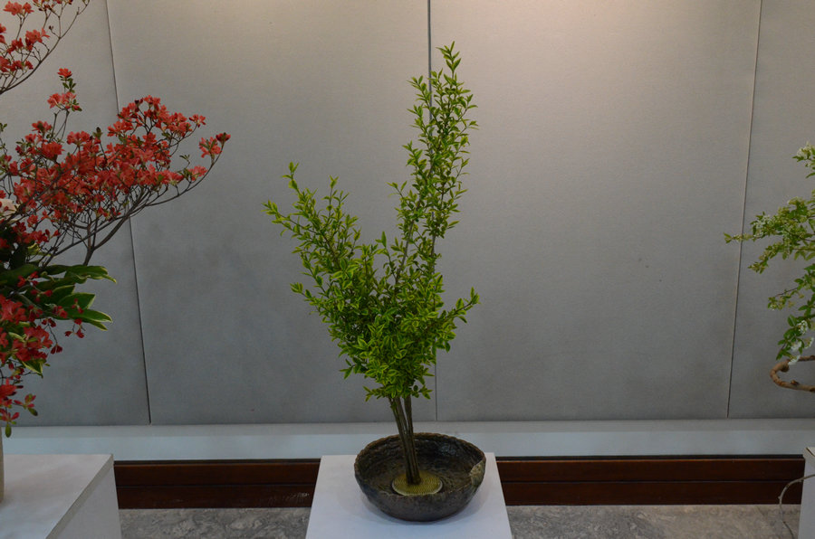 Exchanges on flower arranging art held in Seoul