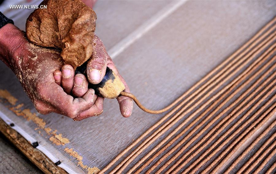 Traditional incense production in Nyemo county, China's Tibet