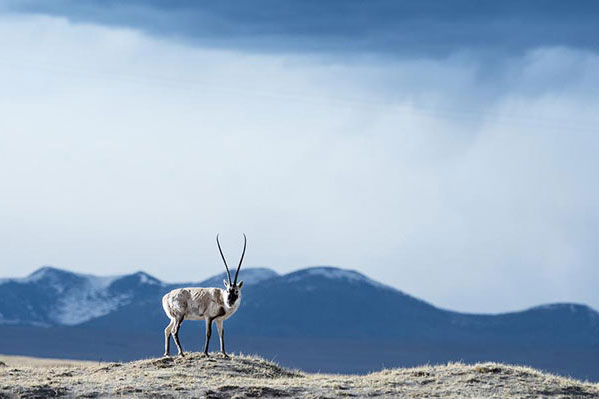 China seeks UNESCO recognition for two more sites