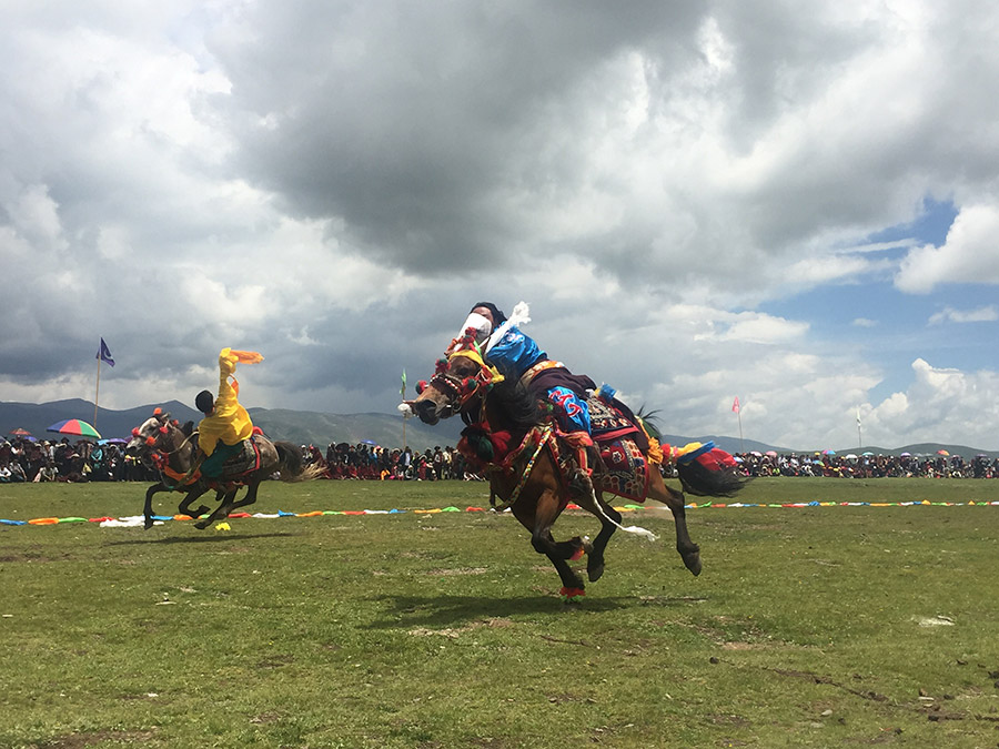 Horse riders impress audience at equestrian festival