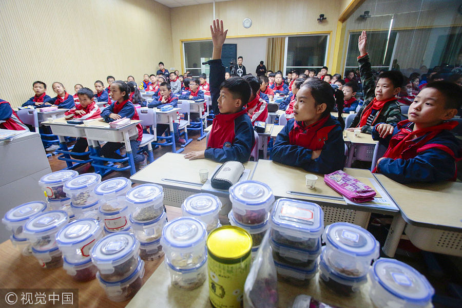 Hangzhou primary school opens traditional Chinese medicine course