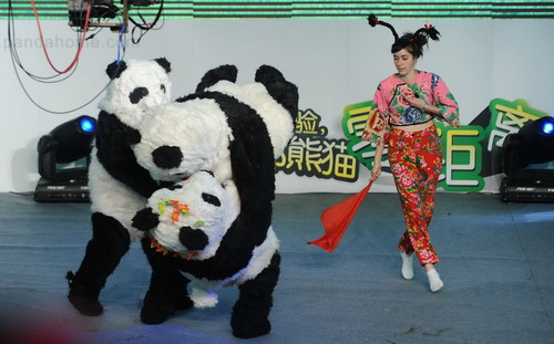 Chengdu panda research base picks six 'pambassadors'