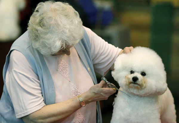 Crufts dog show