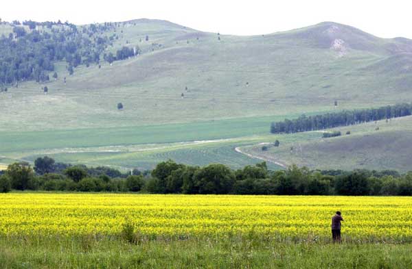 Scenery of Hulun Buir grassland