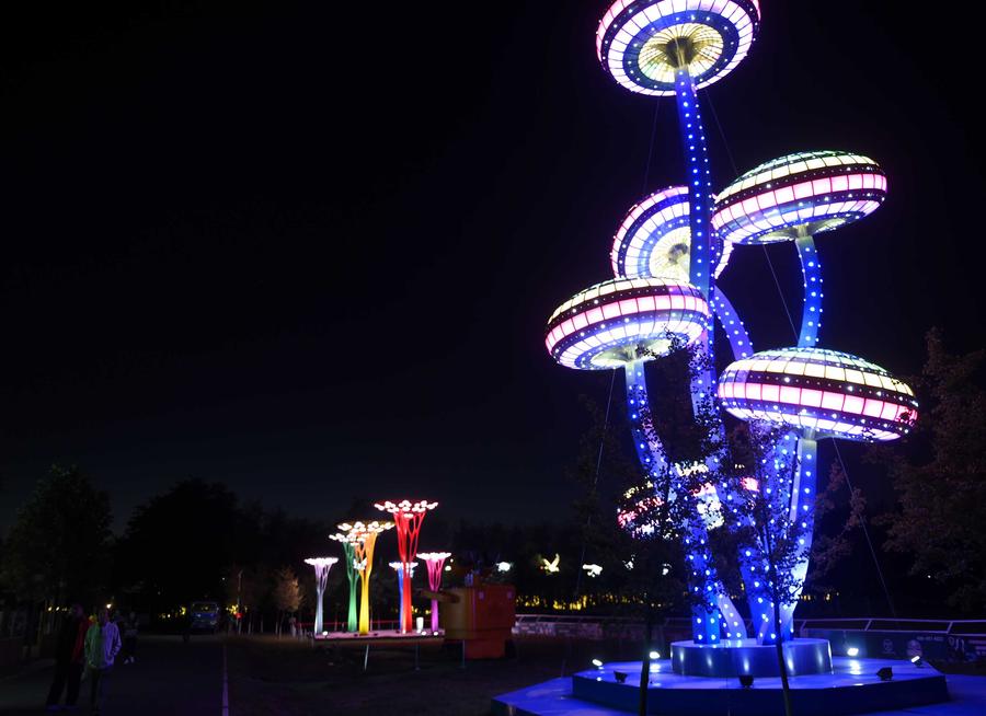 LED light show seen at Beijing int'l Camping Park