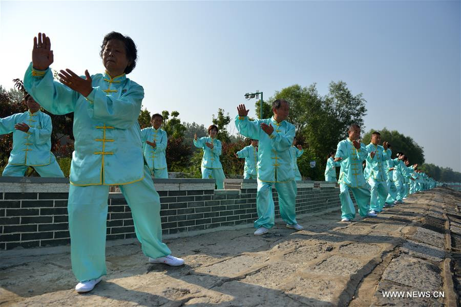 Tai chi fans practise in Hongze, East China's Jiangsu