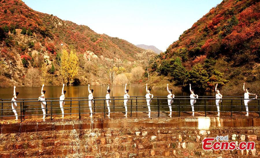 Yoga lovers practice in golden autumn