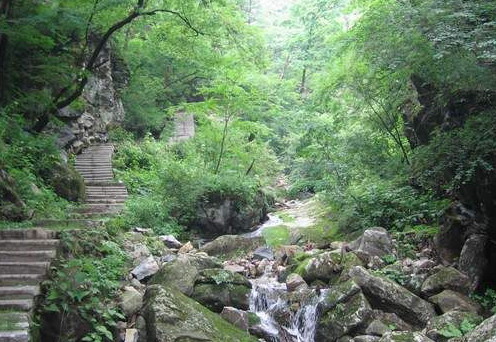 Xi'an Zhuque National Forest Park