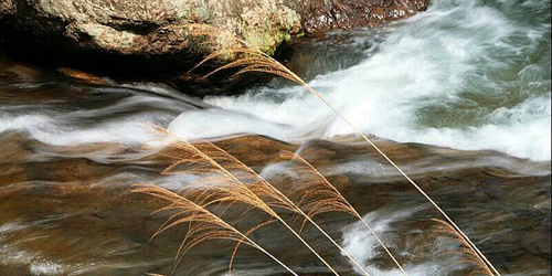 Introduction to Baishuiyang Scenic Area