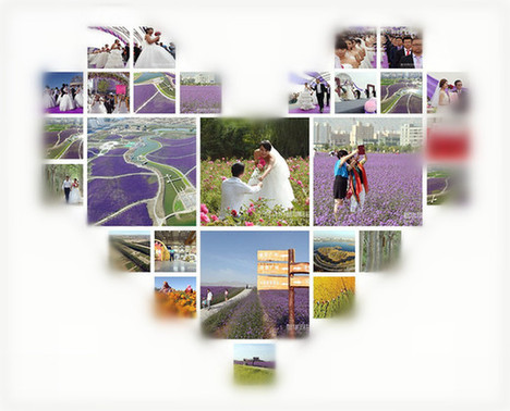 Jinchang city: from industrial city to 'lavender kingdom'