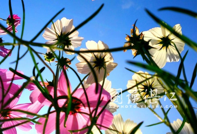 Beautiful Zhanjiang: cosmic garden in Haibin Park