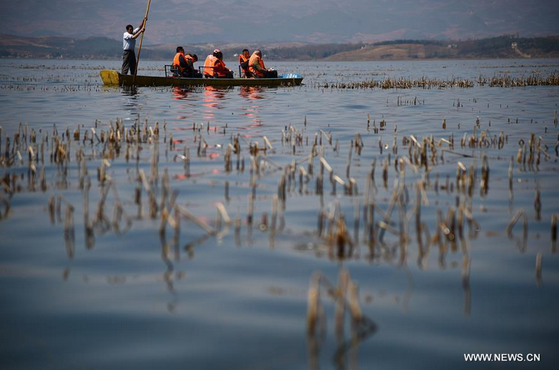 Tourists take sightseeing at Caohai national nature reserve