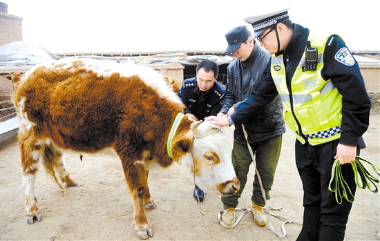 Luminous device makes both animals and traffic safer up north